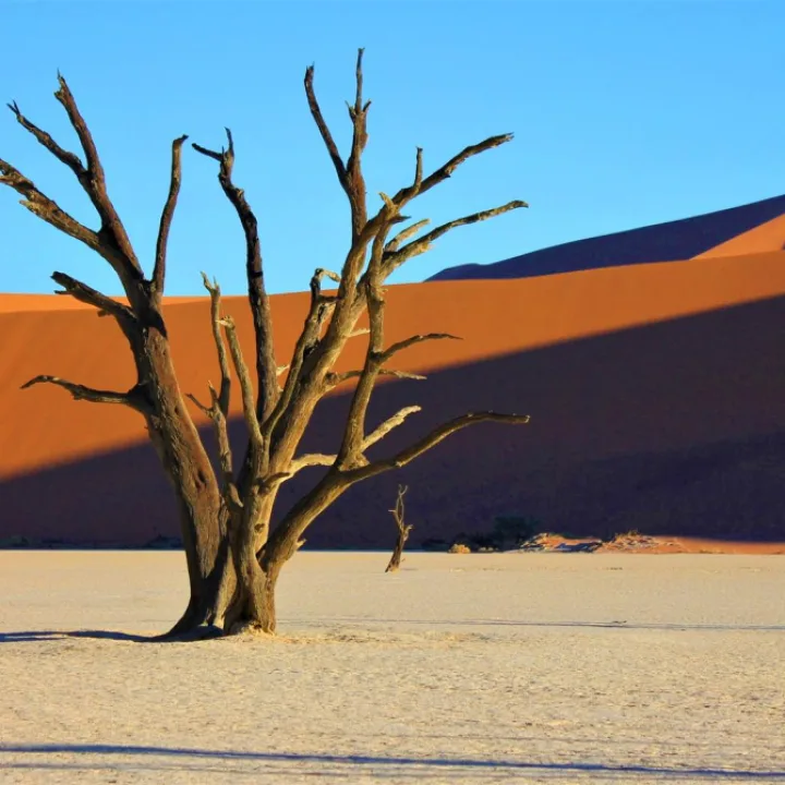 NAMIBIA, BOTSWANA și CASCADA VICTORIA